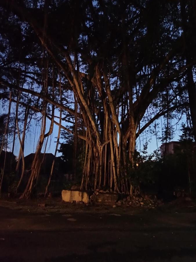 오요 869 반남마오 리조트 나 좀티엔 외부 사진